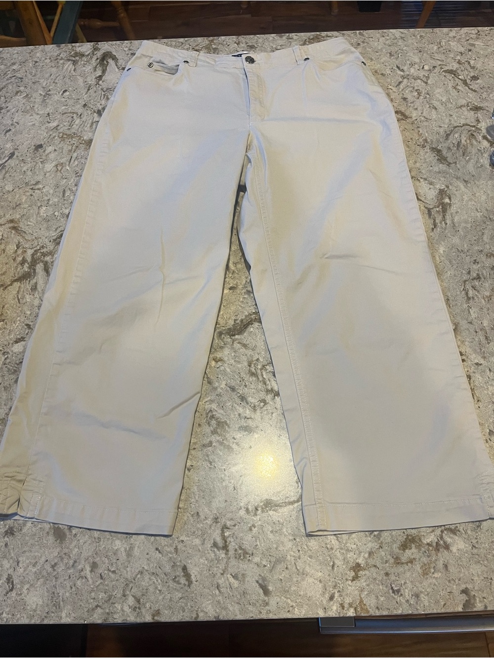 Light Beige Wide Leg Cropped Chino Pants - Crazy Horse Sz 8. Like New